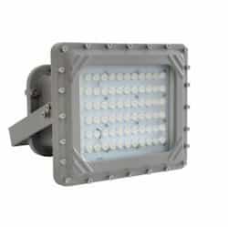 150W Hazard Rated LED High Bay, 400W MH Retrofit, 18245 lm, Division I