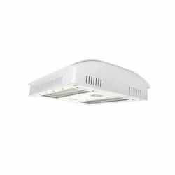 586W LED Horticulture Light, FSRF, 2000.3 BTU, 347V-480V, White