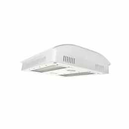 559W LED Horticulture Light, BPRX, 1910.5 BTU, 347V-480V, White