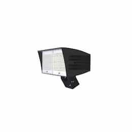 200W LED XLarge Flood Light w/ Trunnion & 3-Pin Receptacle, Dim, Wide, 480V, 4000K