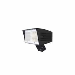 200W LED XLarge Flood Light w/ Trunnion Mount & 7-Pin Receptacle, Dim, 29500 lm, 5000K