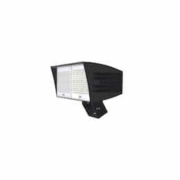 310W LED XLarge Flood Light w/ Trunnion & 7-Pin, Dim, Wide, 39600 lm, 5000K