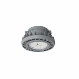 45W Hazard Rated LED High/Low Bay Light, 100W HID Retrofit, 6685 lm, 5000K, Grey