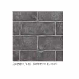 36-in Decorative Panel for Ascent X Fireplace, Grey Standard