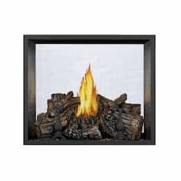 High Definition 81 Gas Fireplace, See Through, Direct, Natural Gas