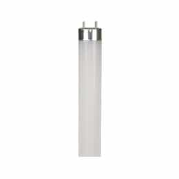 13W 4-ft LED T8 Tube, Direct Line Voltage, G13 Base, 120V, 1650 lm, 5000K