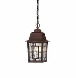 11" Banyon Outdoor Hanging Light, Clear Water Glass, Rustic Bronze