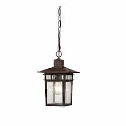 100W 12" Cove Neck Outdoor Hanging Lantern, Bronze