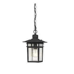 100W 12" Cove Neck Outdoor Hanging Lantern, Black