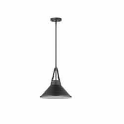 Zelda Steel Pendant Light Fixture w/o Bulb, Medium Base, Black/Black