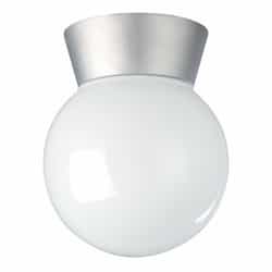 Utility Outdoor Ceiling Light, Satin Aluminum, White Glass Globe