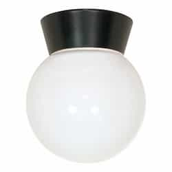 Utility Outdoor Ceiling Light, Black, White Glass Globe