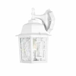 100W Banyan LED Outdoor Wall Lantern w/ Clear Water Glass, 1 Light, White, 12in