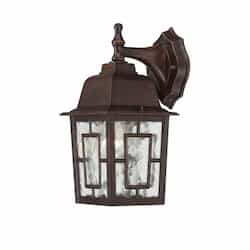 100W Banyan LED Outdoor Wall Lantern w/ Clear Water Glass, 1 Light, Rustic Bronze, 12in
