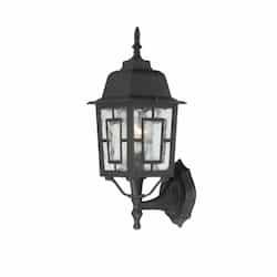 100W Banyan LED Outdoor Wall Lantern w/ Clear Water Glass, 1 Light, Textured Black, 17-in