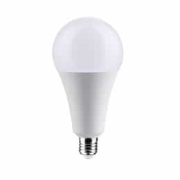 30W LED A25 Bulb, Non-Dimmable, E26, 3750 lm, 120V, 5000K, White