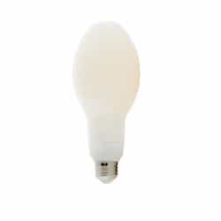 22W LED Filament Bulb, E26, 3000 lm, 5000K, Frosted White