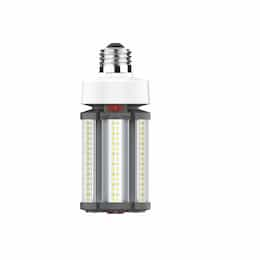 45/36/27W LED Corncob Bulb, Dimmable, E26, 100-277V, CCT Selectable