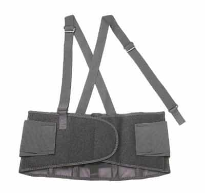 Ergodyne Large ProFlex 100 Economy Back Supports