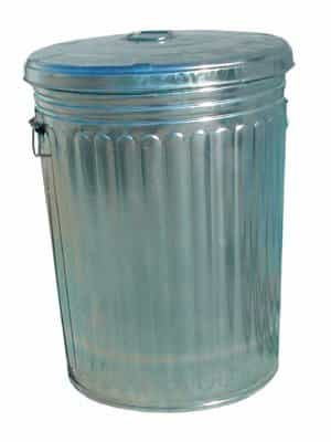 Magnolia Brush 20 Gallon Galvanized Steel Trash Can w/ Lid