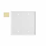 2-Gang Mid-Size Wall Plate, Blank, Plastic, Ivory