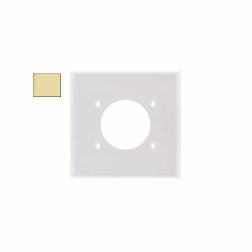 Aida 2-Gang Mid-Size Wall Plate, Power Outlet, Plastic, Ivory