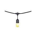 24-ft 12-Bulb LED String Light, S14, 60 lm, 3000K