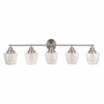 Essex Vanity Light Fixture w/o Bulbs, 5 Lights, E26, Polished Nickel