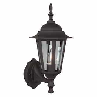 Small Straight Glass Cast Outdoor Wall Sconce w/o Bulb, Textured Black