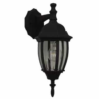 Small Bent Glass Cast Outdoor Wall Sconce w/o Bulb, Textured Black