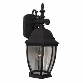 Large Bent Glass Cast Outdoor Wall Sconce w/o Bulb, Textured Black