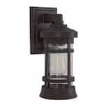 Small Resilience Outdoor Lantern Wall Sconce w/o Bulb, Bronze/Clear