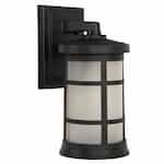 Large Resilience Outdoor Lantern Wall Sconce w/o Bulb, Textured Black