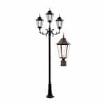 6W 10-ft LED Post, Three-Head, 1600 lm, 120V, Bronze/Frosted, 6500K