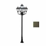 9W 10-ft LED Lamp Post, Five-Head, 1550 lm, 120V, Bronze/Clear, 3000K