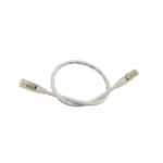 12-in Extension Cable, Male To Female, Wet Location, White, 25-Pack