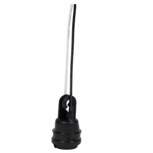 Bergen 6" Pigtail Lampholder with Hook 