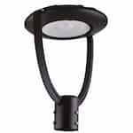 EnVision 55W LED Post Top Light, 7150 lm, 120V-277V, Selectable CCT, Bronze