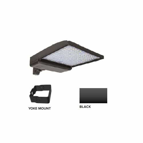 ESL Vision 320W LED Shoebox Area Light w/ Yoke Mount, 480V, 0-10V Dim, 43894 lm, 3000K, Black