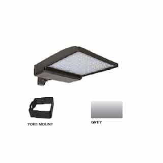 ESL Vision 320W LED Shoebox Area Light w/ Yoke Mount, 480V, 0-10V Dim, 43894 lm, 3000K, Grey