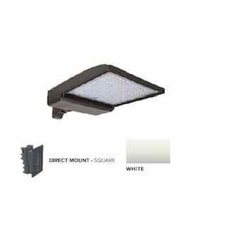 ESL Vision 320W LED Shoebox Area Light w/ Direct Arm Mount, 480V, 0-10V Dim, 43894 lm, 3000K, White