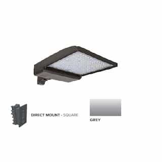 ESL Vision 320W LED Shoebox Area Light w/ Direct Arm Mount, 480V, 0-10V Dim, 46260 lm, 4000K, Grey