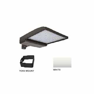 ESL Vision 320W LED Shoebox Area Light w/ Yoke Mount, 480V, 0-10V Dim, 46260 lm, 4000K, White