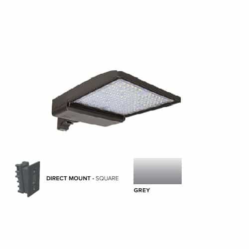 ESL Vision 320W LED Shoebox Area Light w/ Direct Arm Mount, 480V, 0-10V Dim, 48643 lm, 5000K, Grey