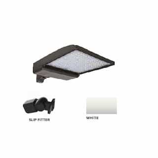 ESL Vision 320W LED Shoebox Area Light w/ Slip Fitter Mount, 0-10V Dim, 48643 lm, 5000K, White
