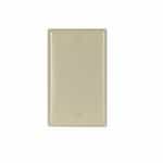 1-Gang Blank Wall Plate, Thermoset, Ivory