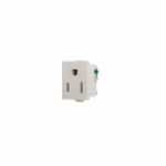 15 Amp Snap-In Single Receptacle w/ Quick Connect, 2-Pole, 3-Wire, 125V, White