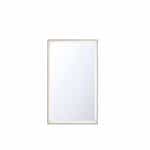 Eurofase 54-in 78W LED Mirror, Dim, 4600 lm, 120V, CCT Select, Gold