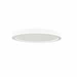 12-in 24W Round LED Surface Mount Downlight, 120V, Selectable CCT