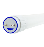 8W DIRect Ballast 2 ft. T8 Tube LED Bulb,  3000K, 180 Deg Wide Beam Angle